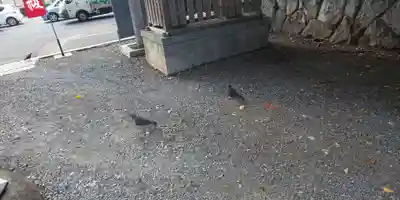 平野神社(京都府)