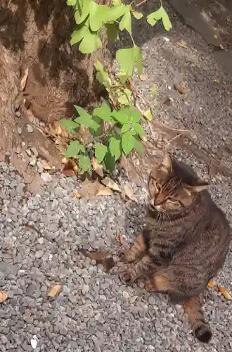 鷲神社(東京都)