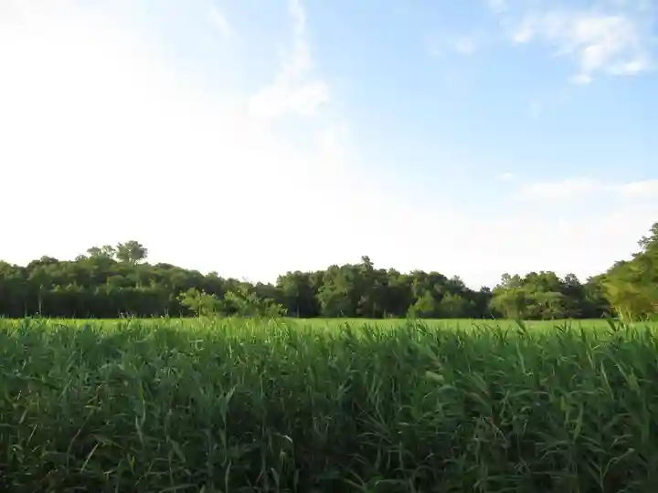 威徳院(千葉県)