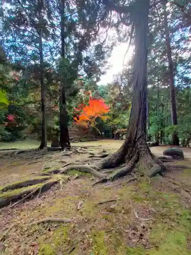 弘川寺(大阪府)
