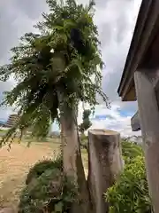 山之坊山口神社(奈良県)