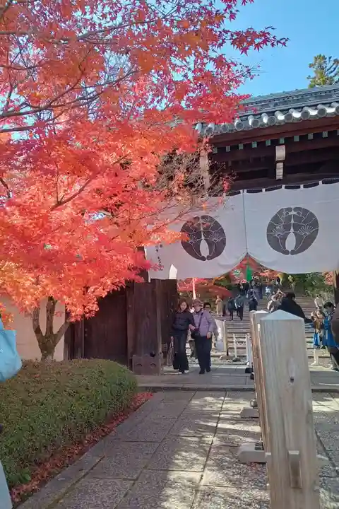 光明寺(粟生光明寺)(京都府)
