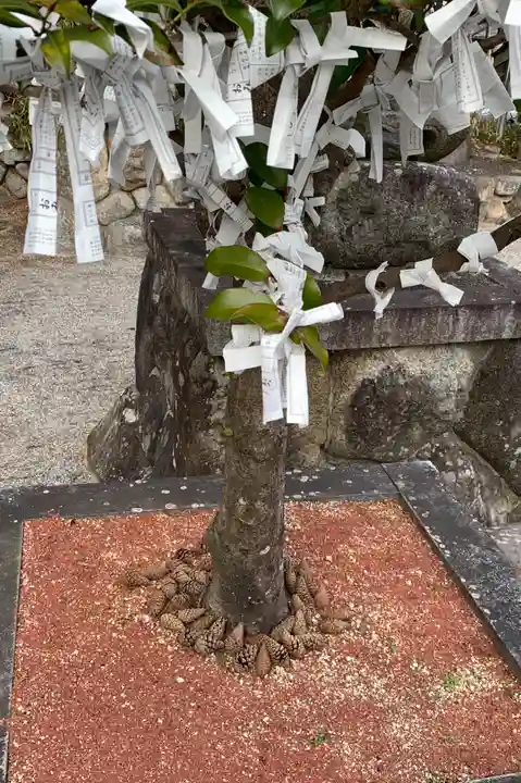 立志神社の自然