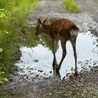 青岸渡寺(和歌山県)