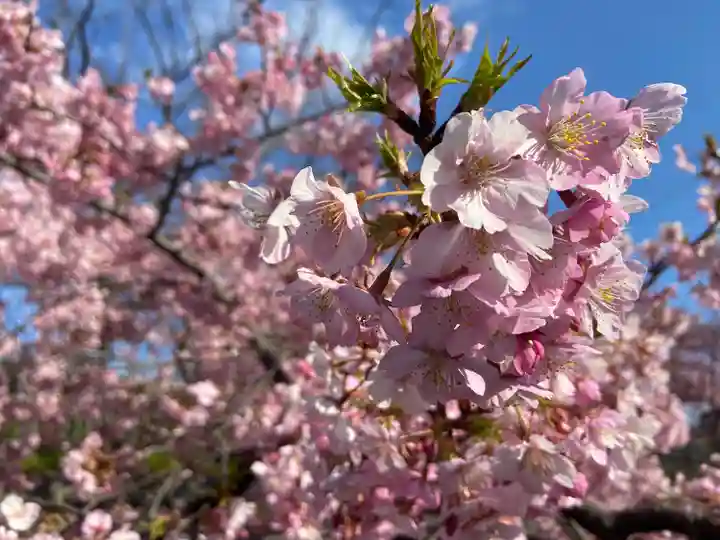 長円寺(京都府)