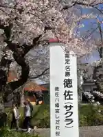 徳佐八幡宮(山口県)