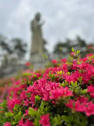 塩船観音寺(東京都)