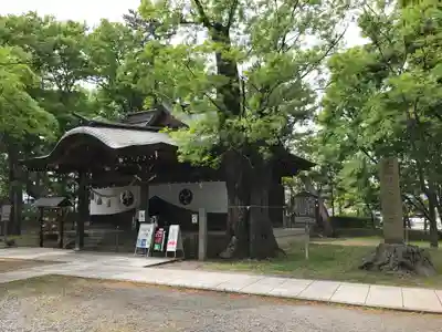 川中島古戦場八幡社の本殿・本堂