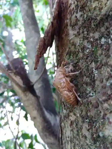 春日神社(福井県)
