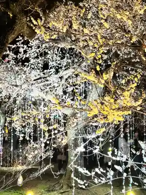 北野天満宮の{uncategorized: "未分類", other: "その他", undefined: "問題あり", building: "その他建物", grave: "お墓", sacred_gate: "鳥居", guardian: "狛犬", statue: "像", buddha: "仏像", history: "歴史", nature: "自然", garden: "庭園", animal: "動物", pagoda: "塔", temizu: "手水舎", mountain_gate: "山門・神門", sanctuary: "本殿・本堂", subordinate: "末社・摂社", art: "芸術", scenery: "景色", jizo: "地蔵", ema: "絵馬", goshuin: "御朱印", omikuji: "おみくじ", items: "授与品その他", amulet: "お守り", goshuincho: "御朱印帳", eats: "食事", festival: "お祭り", votive_dance: "神楽", shichigosan: "七五三参", wedding: "結婚式", experience: "体験その他", initially: "初詣", around: "周辺", anti_infection: "感染症対策"}