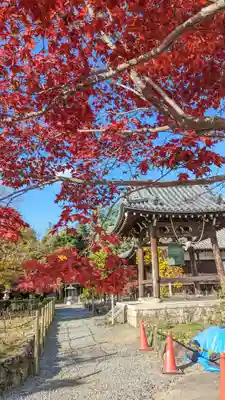 乙訓寺(京都府)