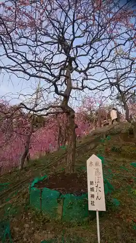 大縣神社の庭園