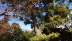 天神社（治郎丸東）の景色