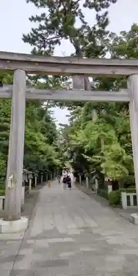 寒川神社の鳥居