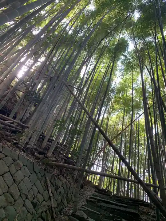 人麿神社の周辺