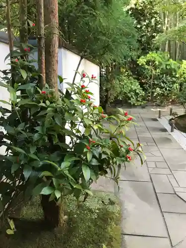 報国寺のその他建物