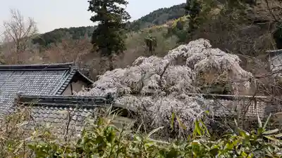 十輪寺(京都府)