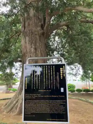 梅岩寺(東京都)