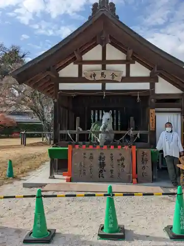賀茂別雷神社（上賀茂神社）(京都府)