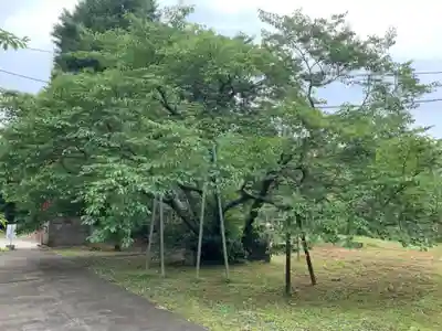 尊蓮院龍尾寺(千葉県)
