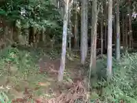 月夜見神社の自然