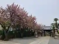 荘厳寺(東京都)