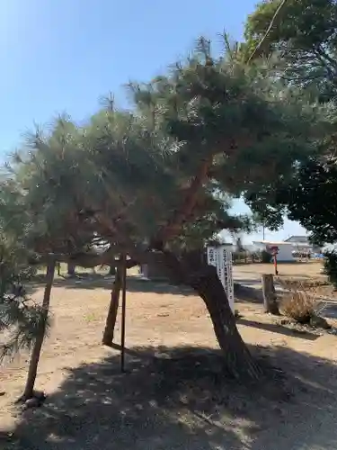 篠塚稲荷神社の自然