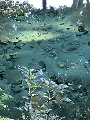 泉神社(茨城県)