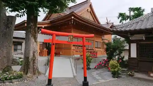 於菊稲荷神社の鳥居