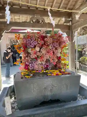 金蛇水神社(宮城県)