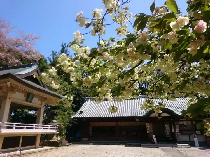 上地八幡宮の自然