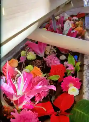 鳩森八幡神社の手水舎