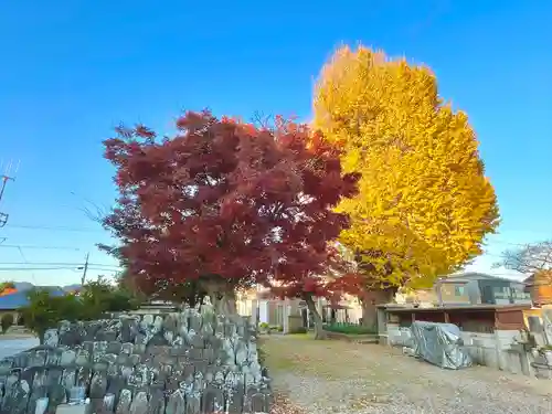 宗英寺(三重県)