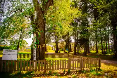 廣原神社(宮城県)