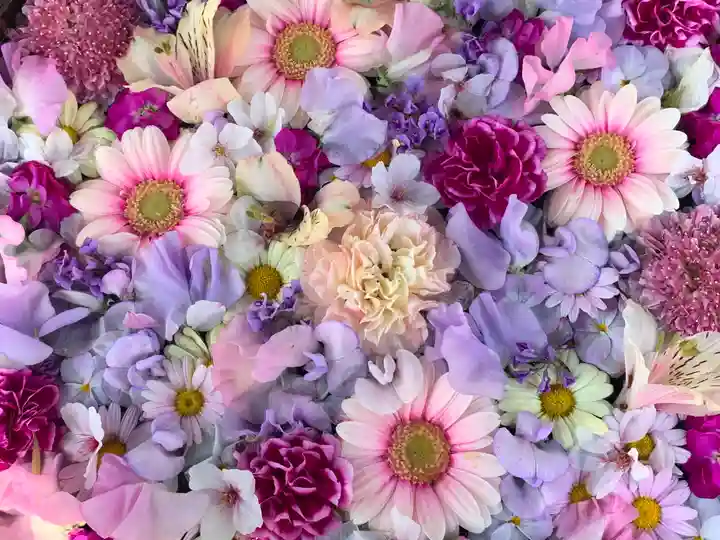 野見神社(大阪府)