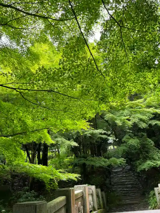 東大寺別院阿弥陀寺(山口県)