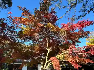 善水寺(滋賀県)