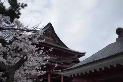 甲斐善光寺の本殿・本堂