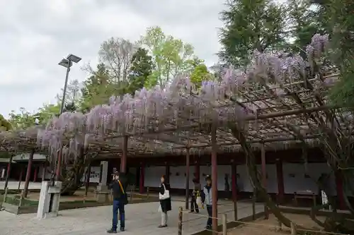 笠間稲荷神社の庭園