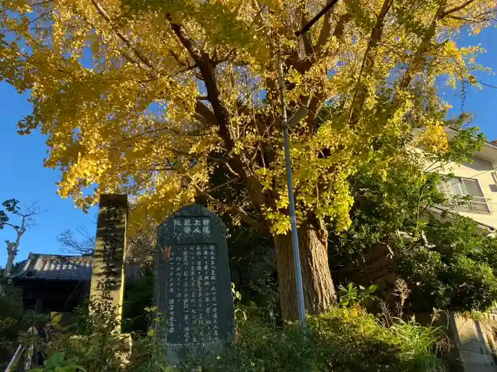 安國論寺(安国論寺)(神奈川県)