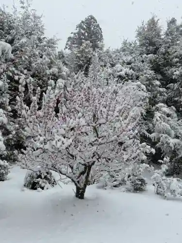 鹿苑寺（金閣寺）(京都府)