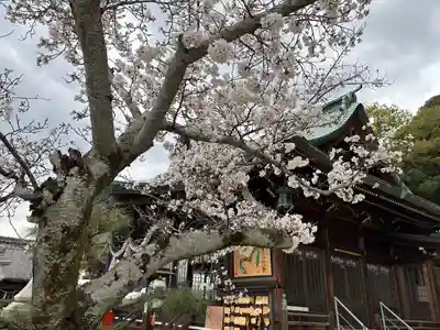 草津八幡宮(広島県)