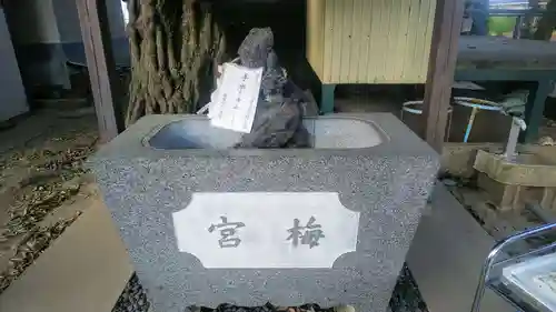 梅宮神社の手水舎