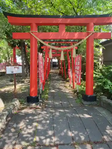 於菊稲荷神社の鳥居