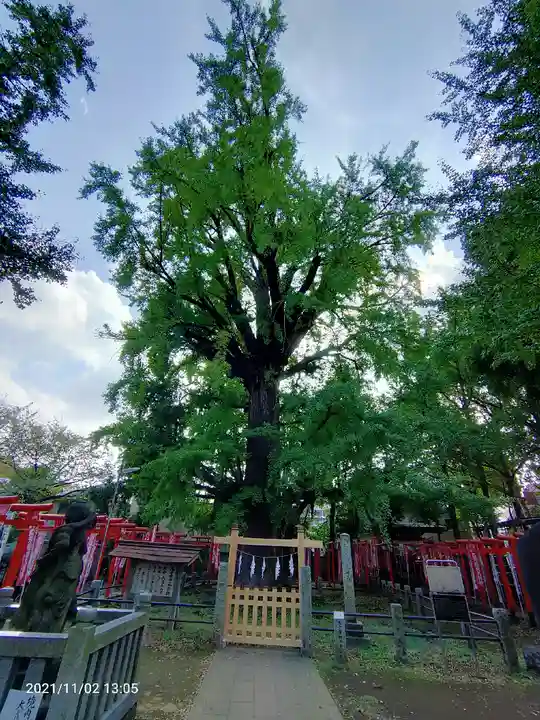 法明寺(東京都)