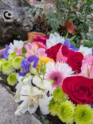 本郷氷川神社(東京都)
