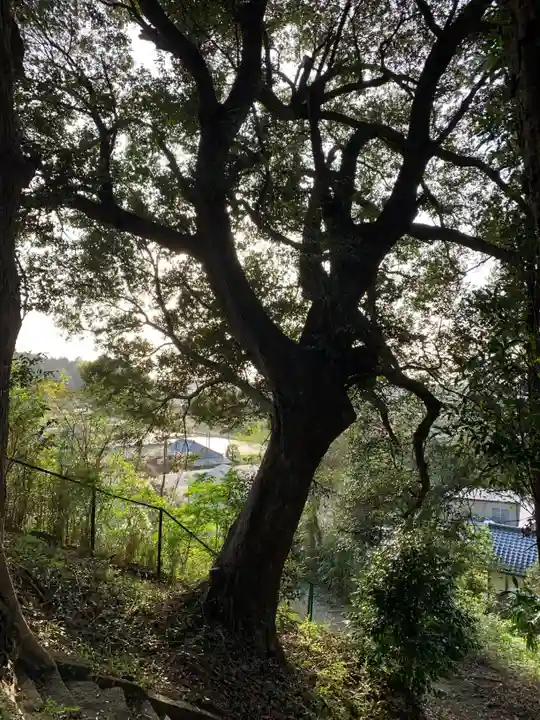 愛宕神社(千葉県)