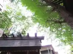 高円寺氷川神社の建物その他