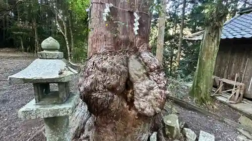 八幡神社(兵庫県)