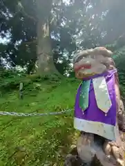 高龍神社(新潟県)